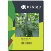 Hectarul - Seminte Castraveti lungi Columna F1 HEKTAR 100 sem